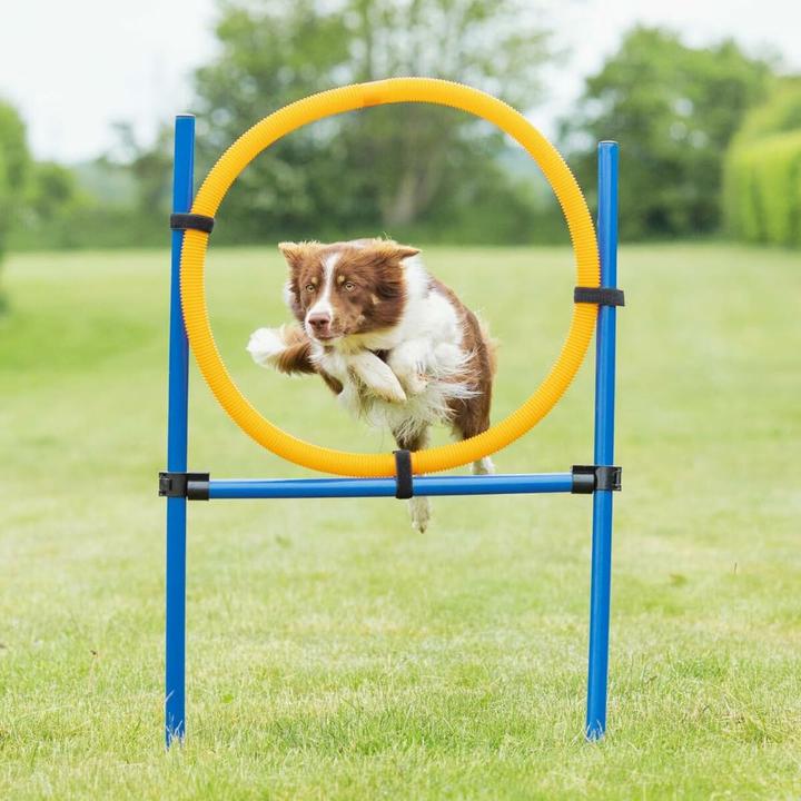 Produktbild Trixie Dog Activity Agility Ring (Agility)