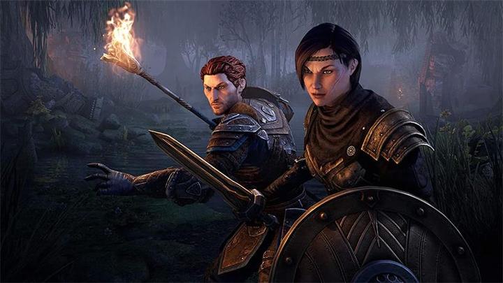 Immagine prodotto Bethesda Collezione di The Elder Scrolls Online: Blackwood (PS4, DE)