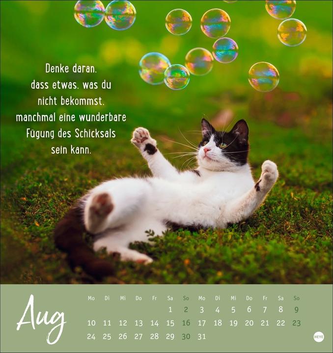 Produktbild Never give up! Postkartenkalender 2026 - Durchhalten. Denn alles wird gut (Deutsch)