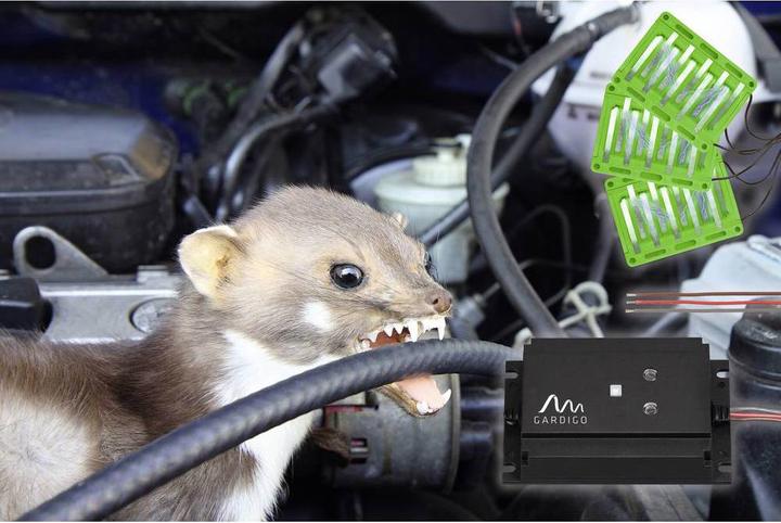 Immagine prodotto Gardigo Difesa Marten Marderschock Profi