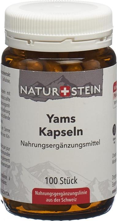 Produktbild Naturstein Yams Kaps Glasfl 100 Stk (100 Stück, Kapseln, 143 g)