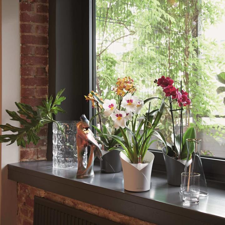 Produktbild Lechuza Orchidea (18 x 20 cm)