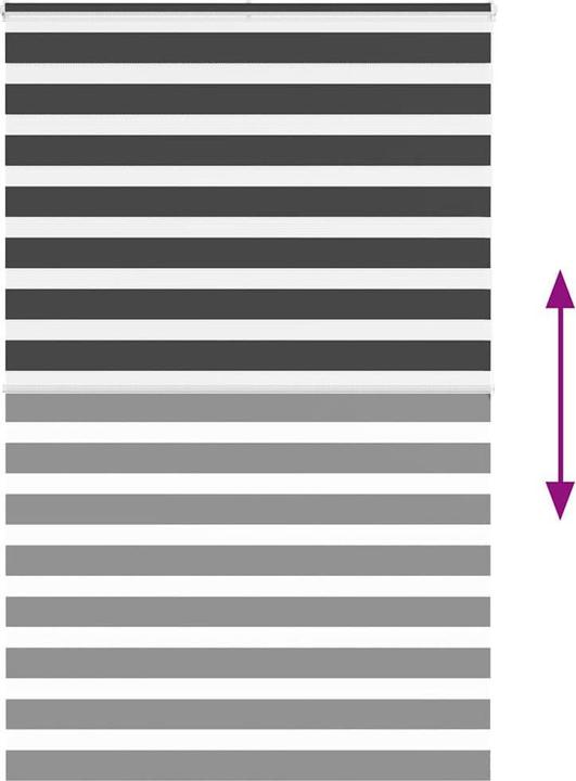 Produktbild vidaXL Zebra-Jalousie (140 x 200 cm)