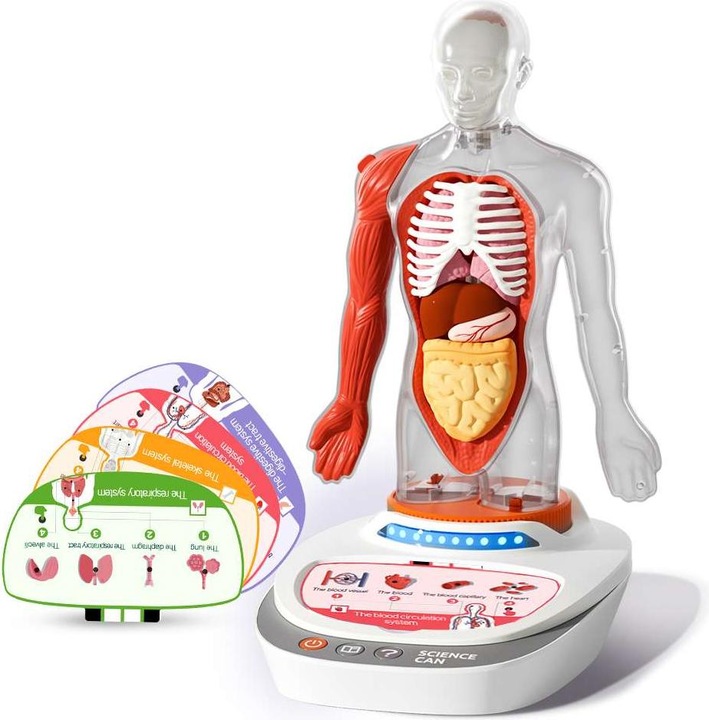 Actual product image Science Can My Body - a knowledge journey with quiz and sound/ My Body Voice Pedia (German, Dutch, English, Italian, French, Spanish)