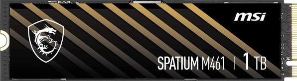 Actual product image MSI Spatium M461 (1000 GB, M.2)