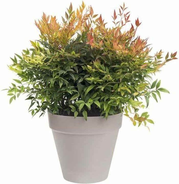 Produktbild Elho Loft Urban (20 x 18 cm)