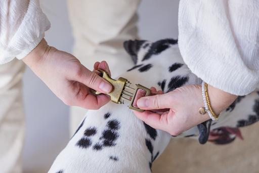Actual product image Designed by Lotte Velura (Dog, Walks)