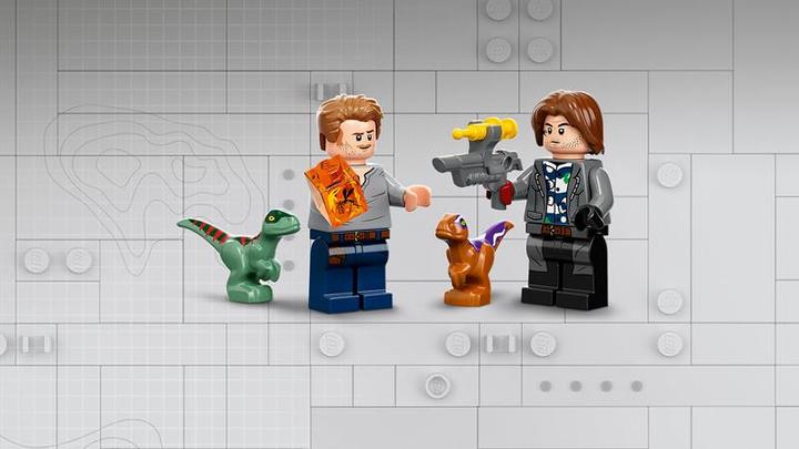Actual product image LEGO Pyroraptor & Dilophosaurus Transport (76951, LEGO Jurassic World, LEGO Rare Sets)