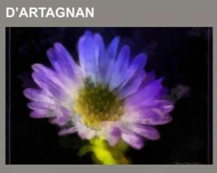 Produktbild D¿Artagnan (Deutsch, Books LLC, 2013)
