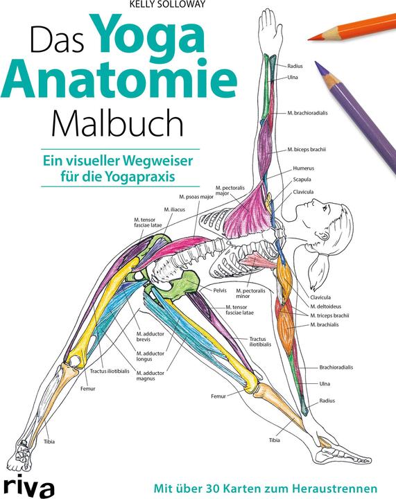 Immagine prodotto Solloway:Das Yoga-Anatomie-Malbuch (Tedesco, Kelly Solloway, Samantha Stutzman, 2019)