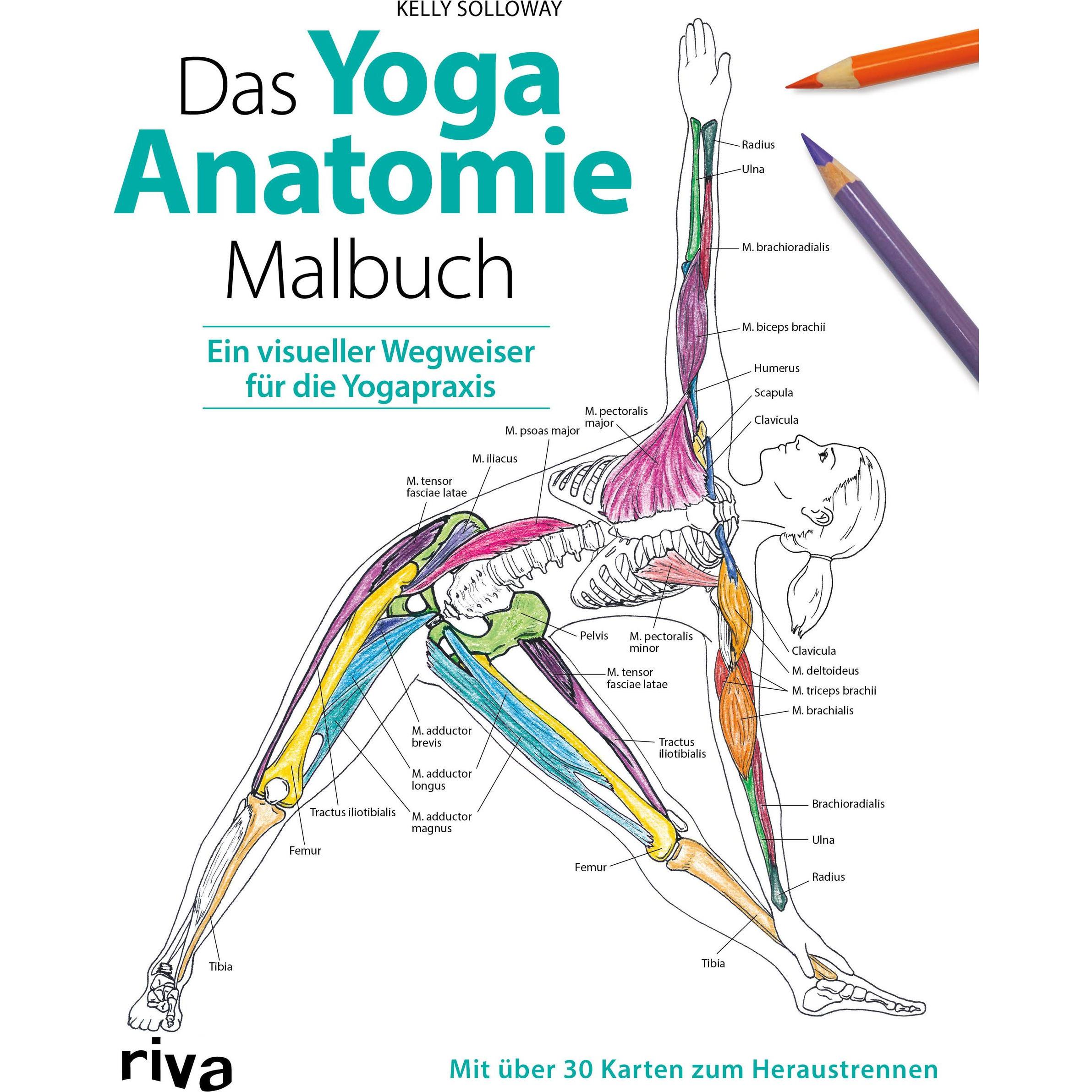 Solloway:Das Yoga-Anatomie-Malbuch, Ratgeber von Kelly Solloway, Samantha Stutzman