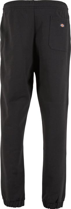 Actual product image Dickies 154184 (M)