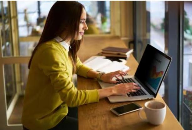 Immagine prodotto 3M Bright Screen Privacy Filters for Laptops (14.49", 16:10)