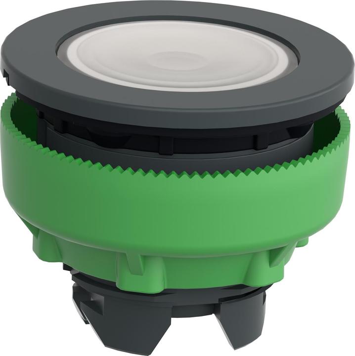 Actual product image Schneider Electric Flush White Ill Pushbutton Head