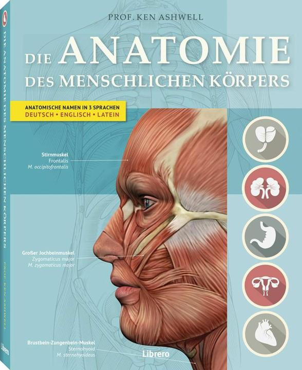 Produktbild Der Menschliche Körper (Deutsch, Ken Ashwell, 2025)