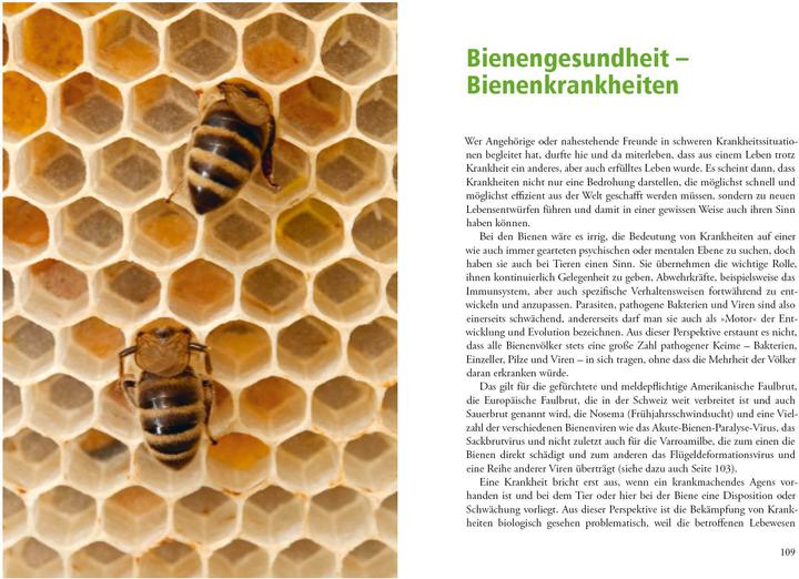 Produktbild Imkern mit der Einraumbeute (Deutsch, Norbert Poeplau, Dr. Johannes Wirz, Johannes Wirz, 2020)