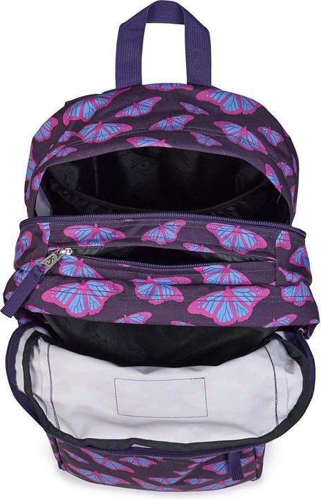 Actual product image JanSport Big Day Backpack (34 l)