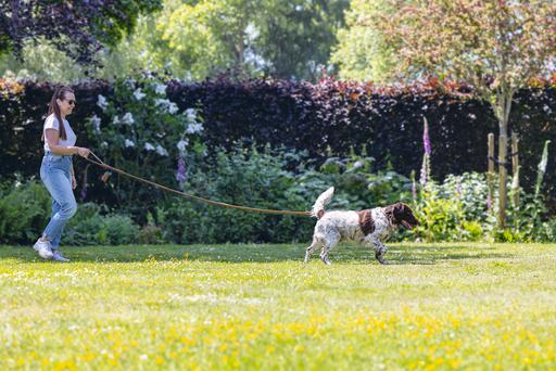 Actual product image Beeztees Bz Balacron Barf Bag Dispenser O (Dog)