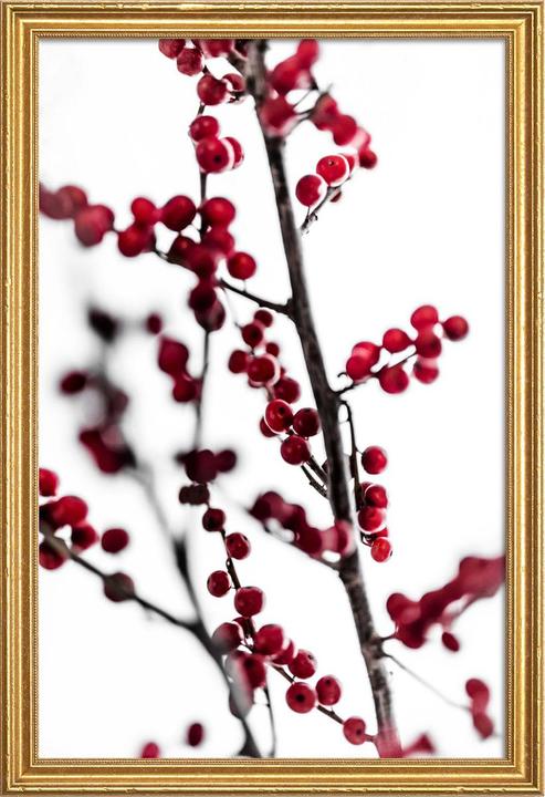 Juniqe Red Berries 1 (60 x 90 cm)
