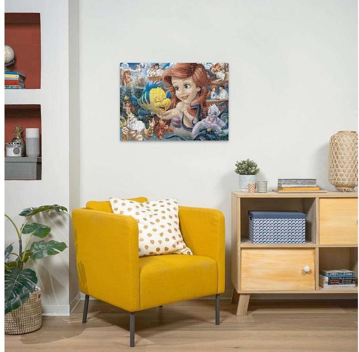 Image du produit Ravensburger Ariel (1000 pièces)