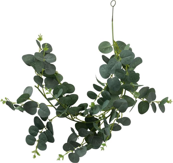 Boltze Home Eukalyptus (18 cm)