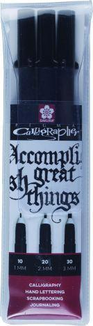 Produktbild Sakura Pigma Calligrapher (3x)