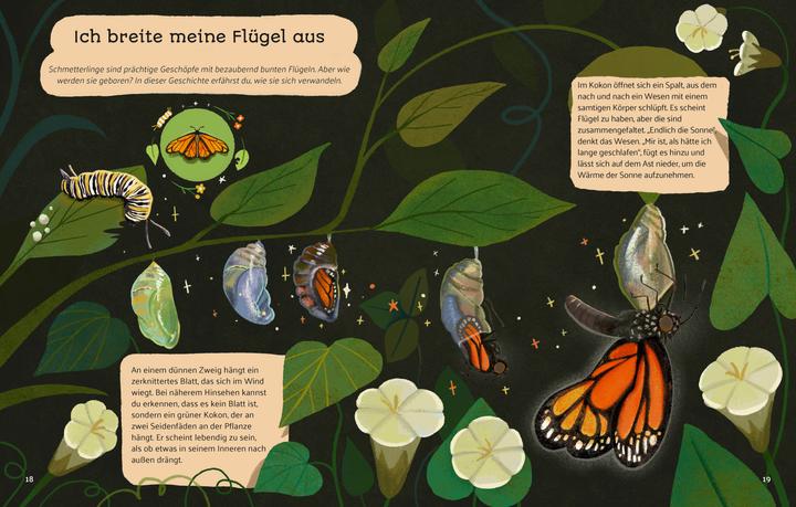 Produktbild National Geographic Kleine Geschichten aus der Natur (Deutsch, Altea Villa, Francesca Sudano, 2025)