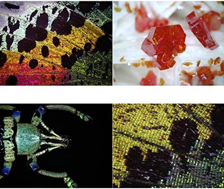 Image du produit Bresser Microscope numérique USB