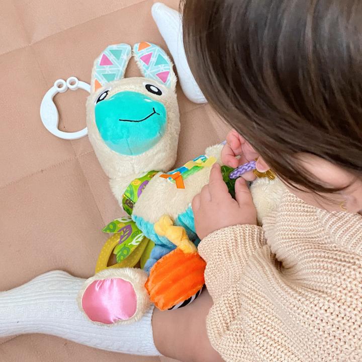 Actual product image Playgro Sensory Friend Lupe Llama - (10188470)
