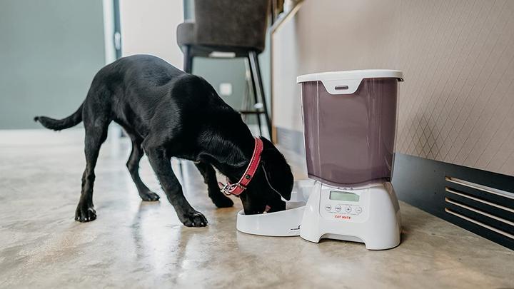 Immagine prodotto Cat Mate C3000 (3 l)