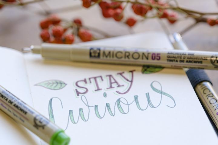Actual product image Sakura Fineliner Pigma Micron 02 blau 0,3mm (Blue, 1 x)