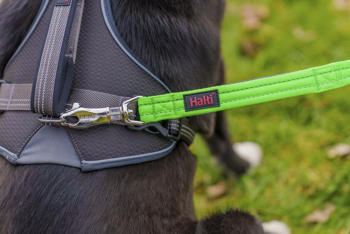 Actual product image Halti BRIG Safety Lead Neon Green Large (L, Dog, Walks)