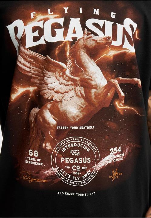 Actual product image MT Pegasus Oversize Tee (M)