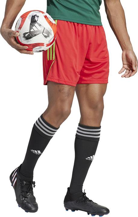 Actual product image adidas Tiro 23 training shorts men (L)