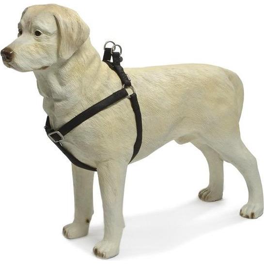 Beeztees BZ GESCHIRR MACL SCHWZ 2560-10 (Hund, Hundesport), Halsband + Leine