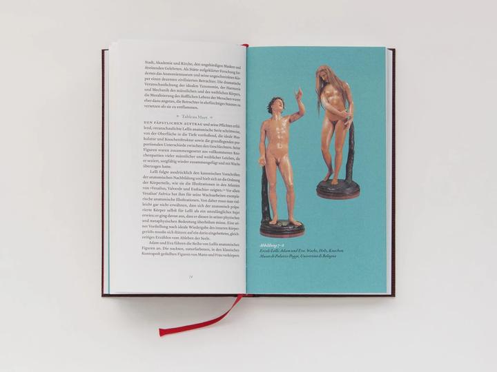 Produktbild Signora Ann, Anatomin der Aufklärung (Deutsch, Rebecca Messbarger, 2015)