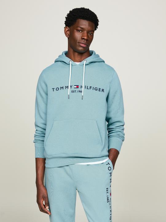 Immagine prodotto Tommy Hilfiger Tommy Logo Hoody (XS)