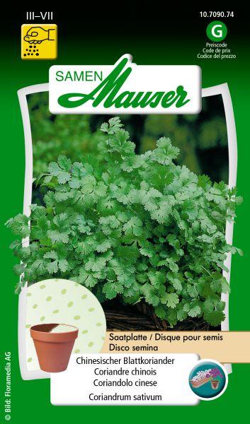 Actual product image Samen Mauser Chinese leaf coriander seed plate (Herb seeds)