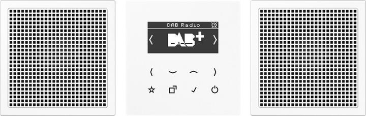 Actual product image JUNG DABLS2WW Smart Radio DAB+ (DAB+)