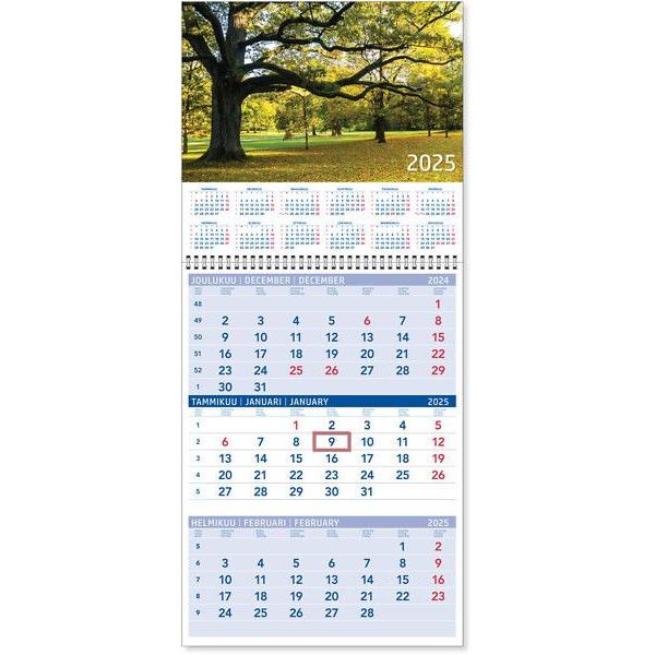 RCK, Kalender, Triplanner Large Wall Calendar 2025 (Schwedisch, Englisch, Deutsch)