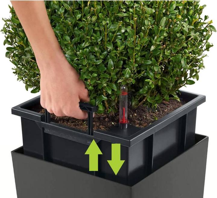 Produktbild Lechuza Cube (29.50 x 29.50 x 30 cm)