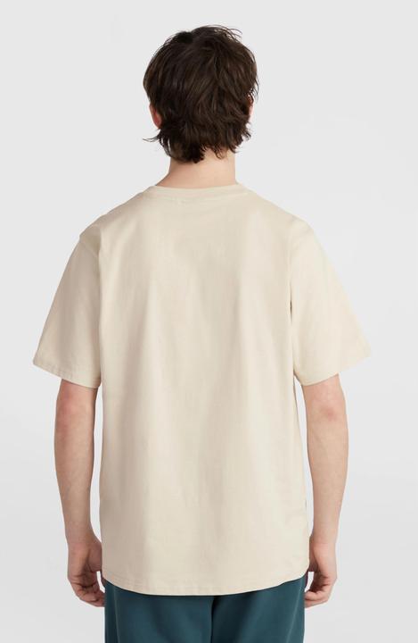 Produktbild O'Neill t-shirt o'nei the future surf (L)