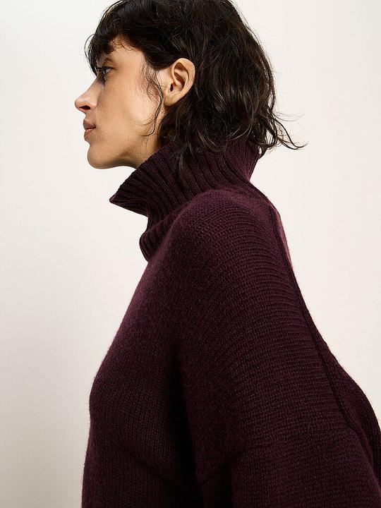 Produktbild Lanius Rollkragenpullover (42)