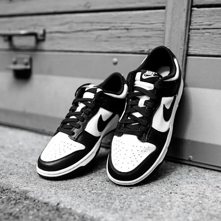 Immagine prodotto Nike Dunk Low (40.5)