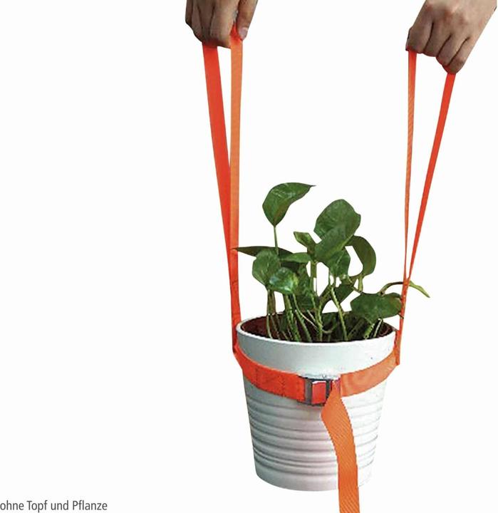 Actual product image BGS Carrying strap