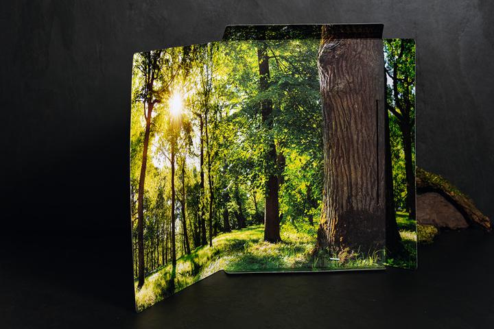 Actual product image HERMA A4 motif folder (A4, 1 x)