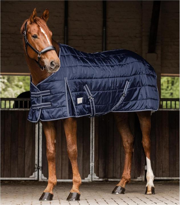 Actual product image Waldhausen Stable Blanket Economic 100 g (135 cm)