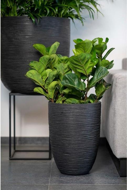 Image du produit Capi Tutch Pot riffel (54 x 52 cm)