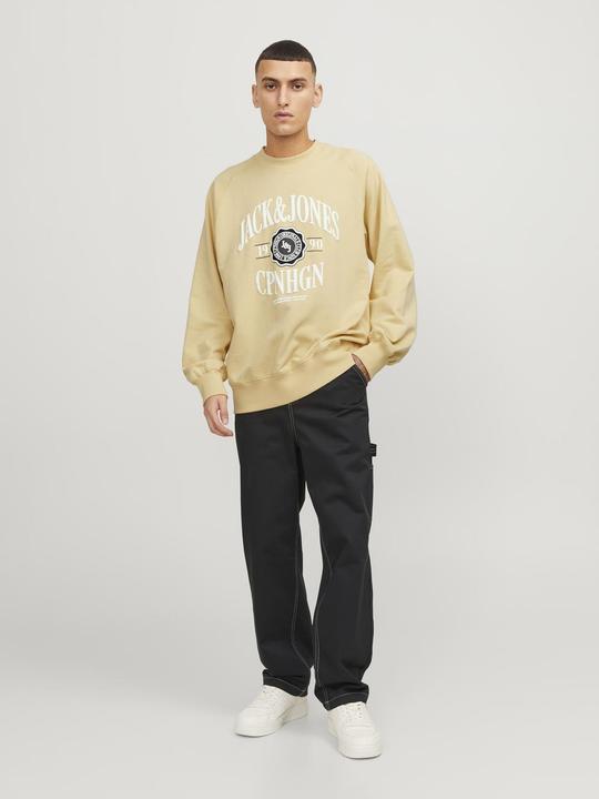 Actual product image Jack & Jones Printed sweatshirt with round neck Sweatshirt with round neck (S)