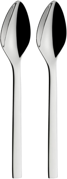 Nuova (2 pièce(s), Scoops)